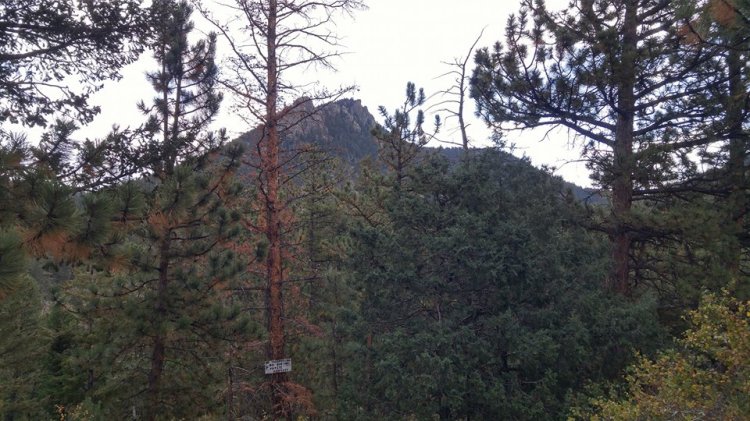 21742859_10155734036137258_2851718094262585858_n