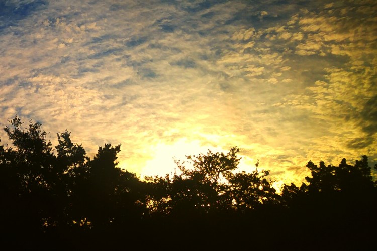 2017-11-20_07.45.13 (1)